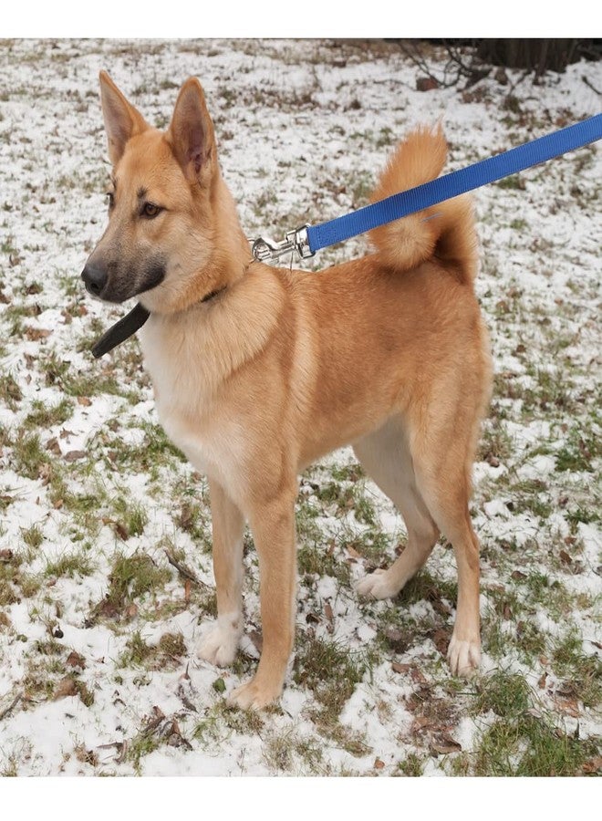 Trixie Combo of Trixie Premium Nylon Adjustable Dog Leash with Stainless Steel Hooks - L-XL (25mm, Royal Blue Color) and Sports Ball Natural Rubber Toy for Dog - Image 4